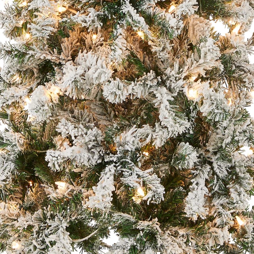 Trees | National Tree Company First Traditions Pre-Lit Acacia Flocked Tree Medium Christmas Tree Clear Incandescent Lights Plug In 6 ft F2L4F41